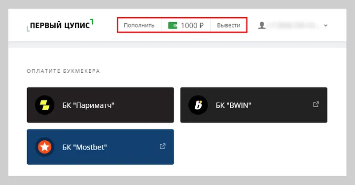«Кошелек ЦУПИС» отражается в верхней части экрана на сайте ЦУПИС 1cupis.ru